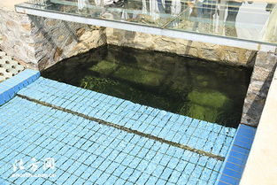 天津宝坻区第一污水处理厂 MBR膜工艺驱动提标扩建，构筑土壤污染治理新防线