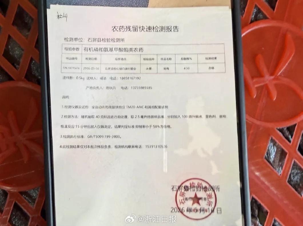 土壤重金属污染治理有新招--植物可参与土壤修复
